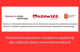 grafika rezyliencja